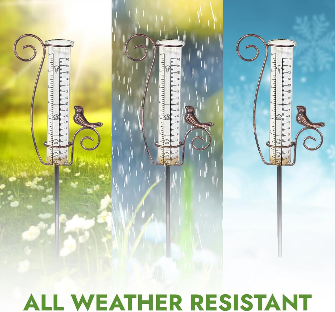 DAAS24 Regenmesser - Regenmesser für Garten – Frostsicheres Glas - Niederschlagsmesser- Flexibel pla