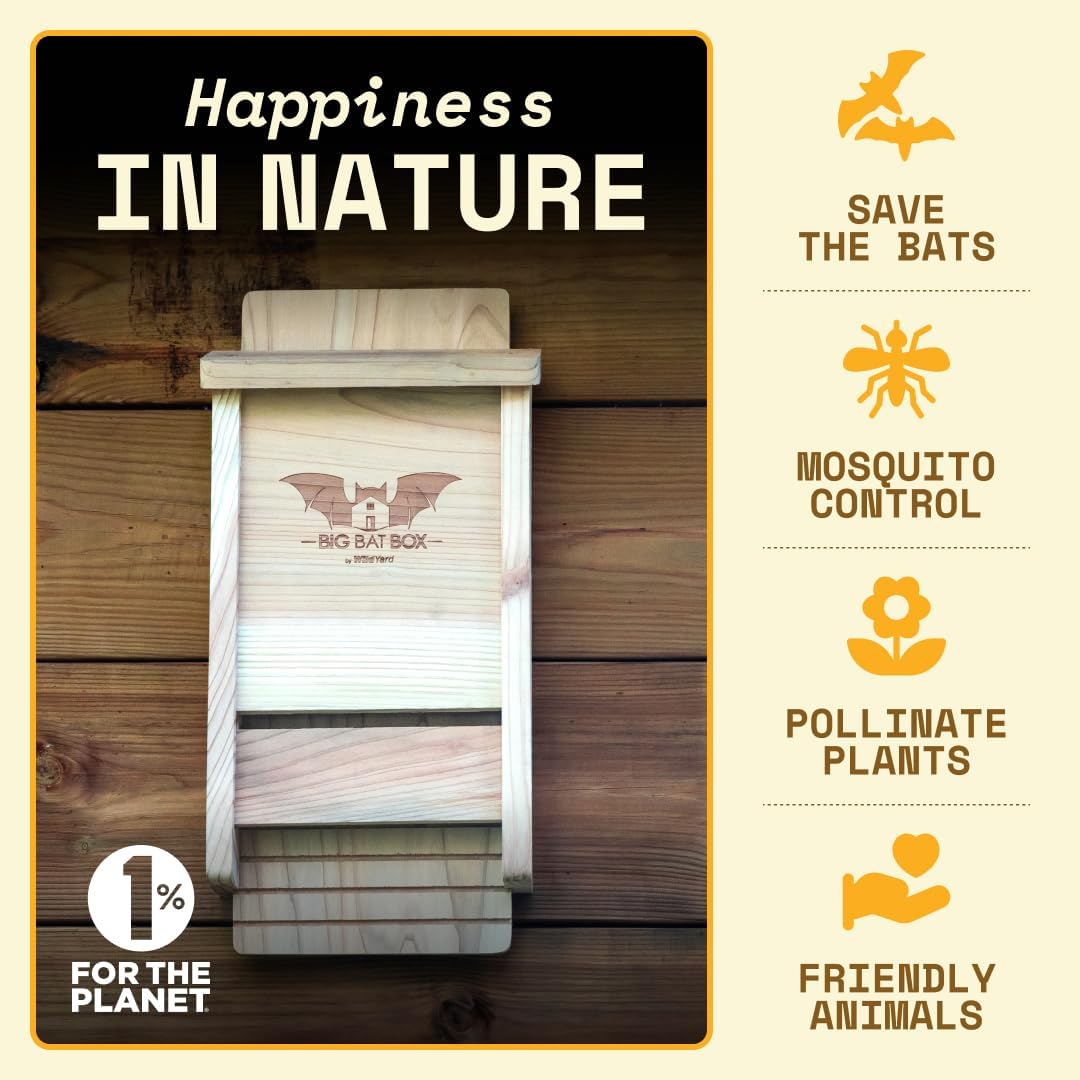 Wildyard Bat House for Outdoors - Der Komplette Fledermauskasten für den Aussenbereich - Säubere dei