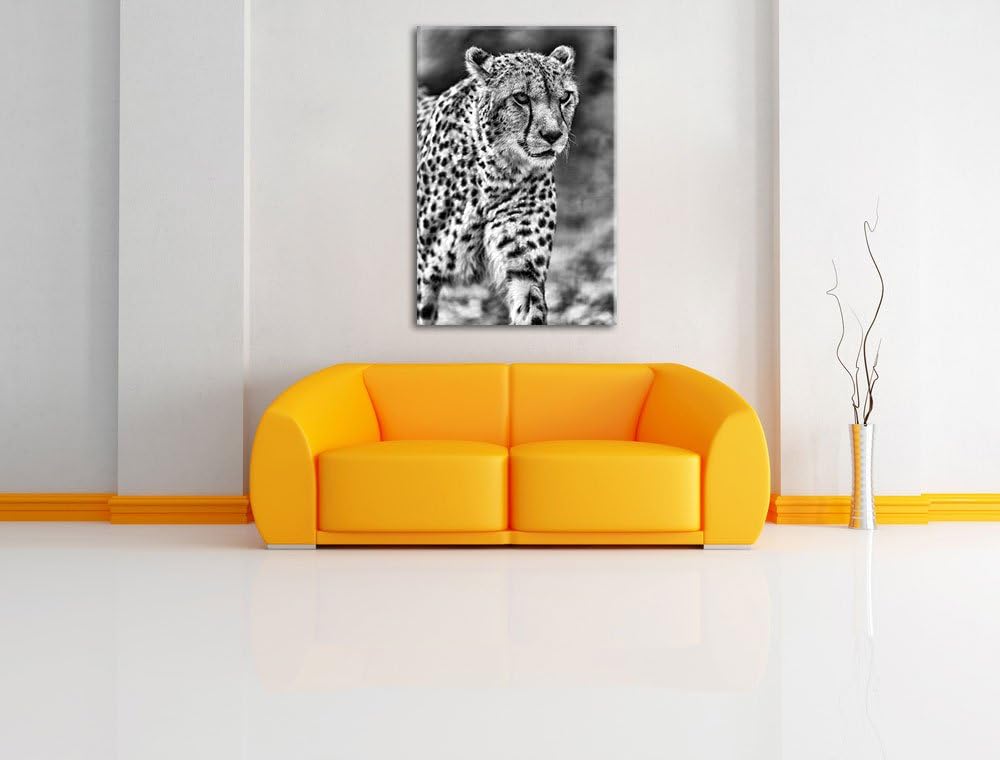 Pixxprint lauernder Gepard auf Wiese / 100x70cm Leinwandbild bespannt auf Holzrahmen/Wandbild Kunstd