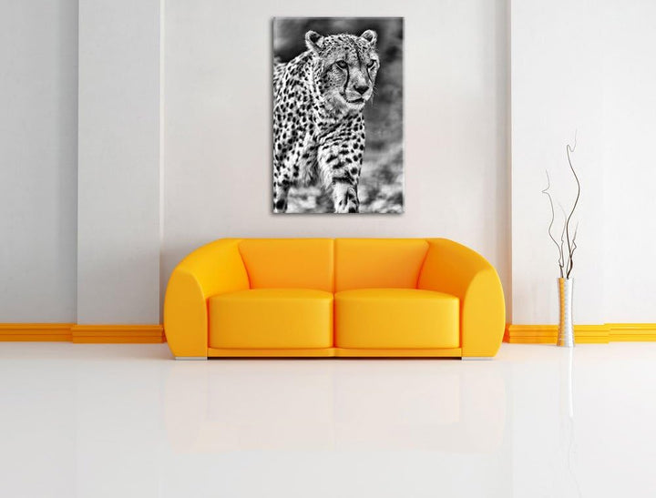 Pixxprint lauernder Gepard auf Wiese / 100x70cm Leinwandbild bespannt auf Holzrahmen/Wandbild Kunstd