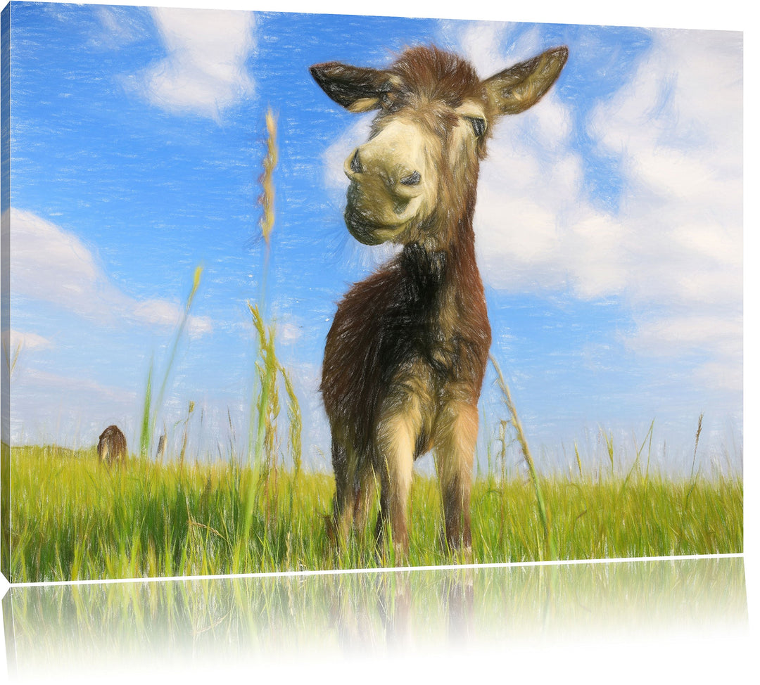 Pixxprint Esel im Feld als Leinwandbild/Grösse: 100x70 / Wandbild/Kunstdruck/fertig bespannt, 100x70