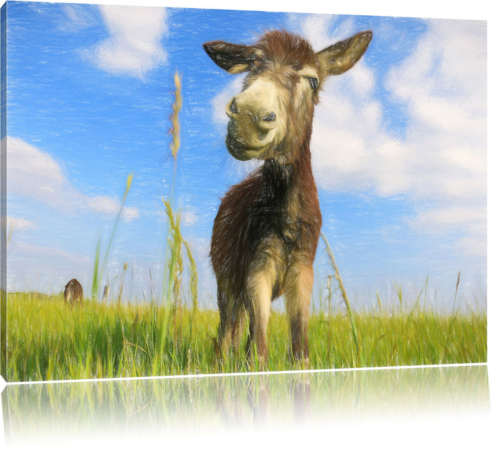 Pixxprint Esel im Feld als Leinwandbild/Grösse: 100x70 / Wandbild/Kunstdruck/fertig bespannt, 100x70