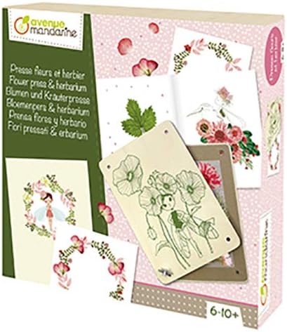 Avenue Mandarine CO175C Kreativset mit Blumen- und Kräuterpresse (einfache Anleitungen, die Kindern