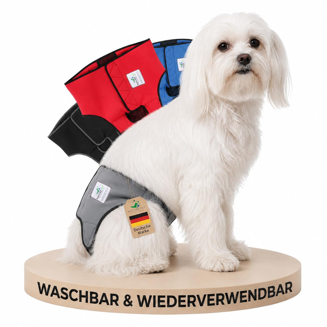 Läufigkeitshose für Hündinnen 2.0 - Hundewindeln aus hochwertigem perforiertem Neopren für einen opt