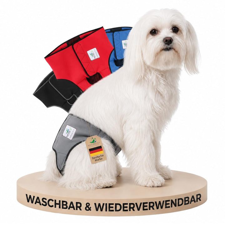 Läufigkeitshose für Hündinnen 2.0 - Hundewindeln aus hochwertigem perforiertem Neopren für einen opt