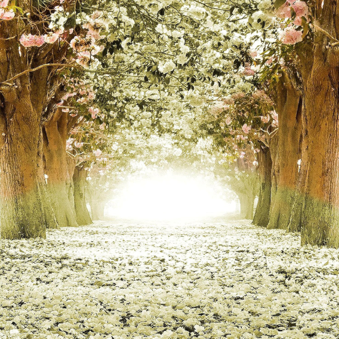 Runa Art Bild Schlafzimmer Wohnzimmer Wald Landschaft 5 Teilig Natur Grün Wandbilder auf Vlies Leinw