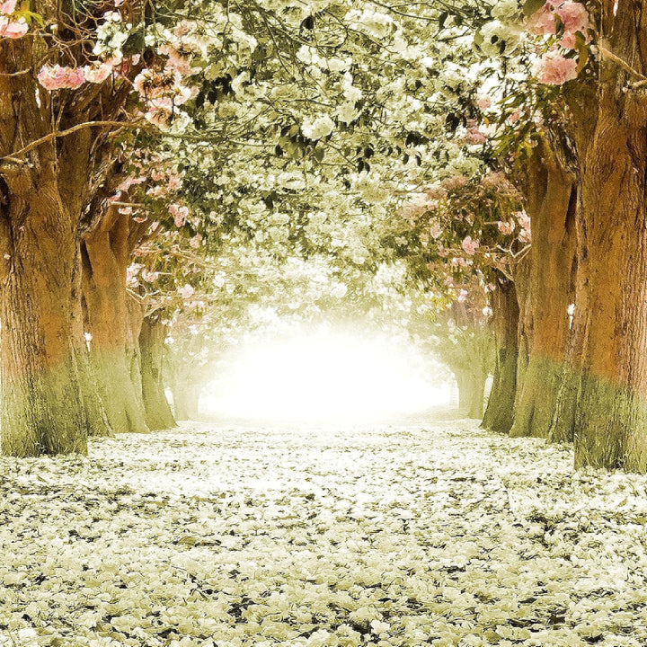 Runa Art Bild Schlafzimmer Wohnzimmer Wald Landschaft 5 Teilig Natur Grün Wandbilder auf Vlies Leinw