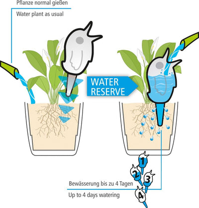 Scheurich Wasserspeicher Bördy XL | 2X Weiss | 620ml Füllmenge | Bewässerungskugel klein mit Ton Fus