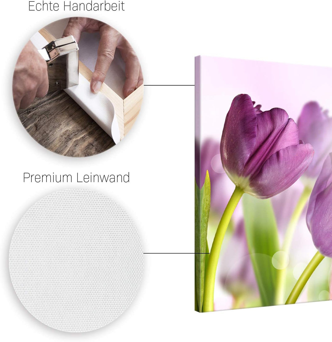 ge Bildet Bild auf Leinwand | Tulpe - Blumen Violett Natur E in 50x50 cm als Wandbild | Wand-deko De