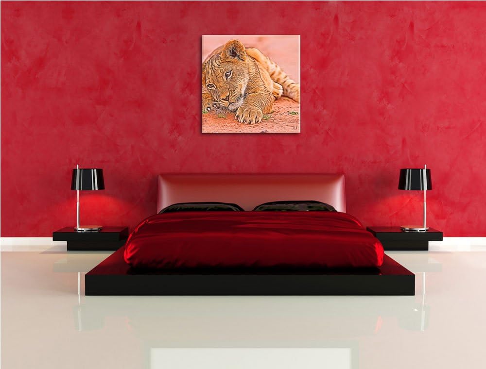 süsses Löwenbaby spielt, Format: 70x70 auf Leinwand, XXL riesige Bilder fertig gerahmt mit Keilrahme