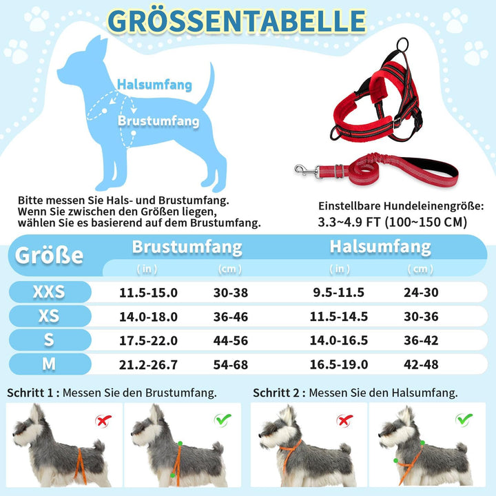 Hundegeschirr mit Leine für mittelgrosse Kleine Hunde, Weich gepolsterter No-Pull Brustgeschirr mit
