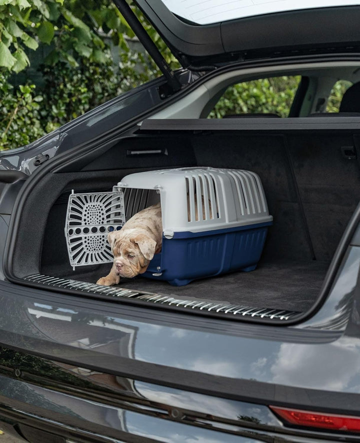 lionto Transportbox für Hunde & Katzen aus recyceltem Kunststoff Tiertransportbox Kleintierbox, 55x3