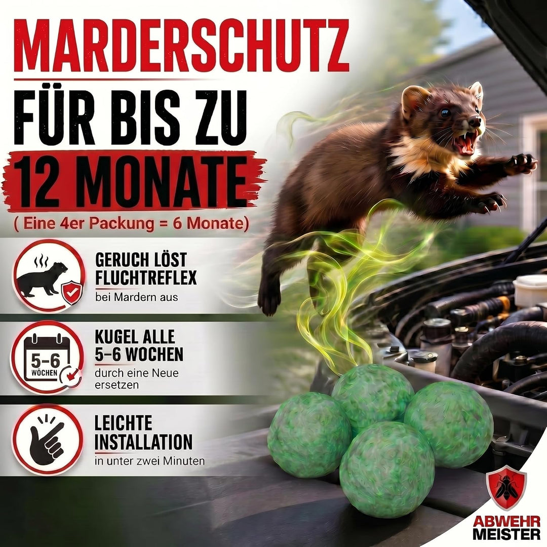Original 8X Marderschreck-Kugeln inkl. PKW-Halterung, Marderschreck Auto mit Sofort und Langzeitwirk