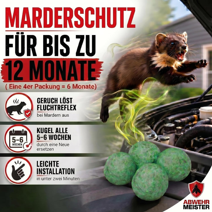 Original 8X Marderschreck-Kugeln inkl. PKW-Halterung, Marderschreck Auto mit Sofort und Langzeitwirk