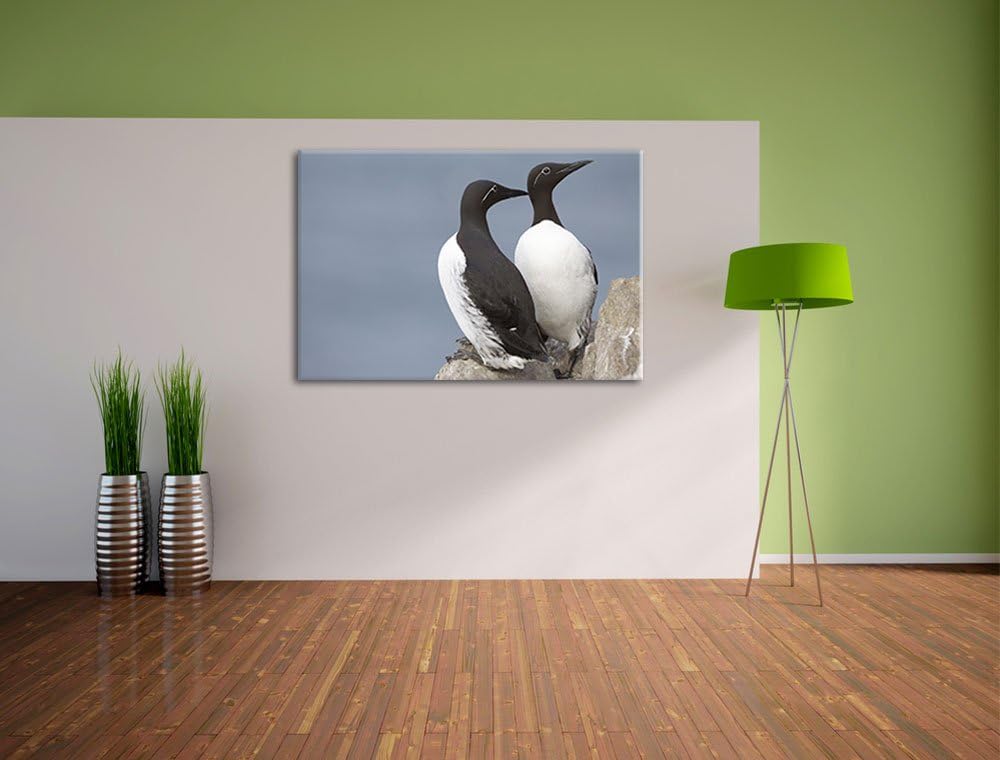 zwei Trottellummen auf Felsen Leinwand, XXL riesige Bilder fertig gerahmt mit Keilrahmen, Kunstdruck