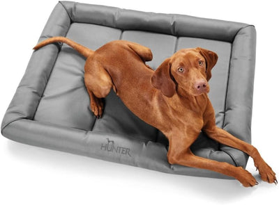 HUNTER Vermont Hundematte, Polyester, robust und schmutzabweisend, gepolstert, 100 x 80 cm, grau gra