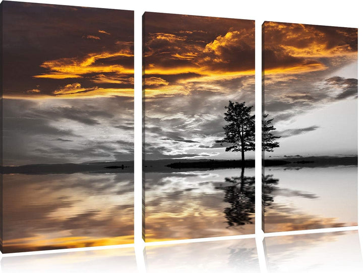 einsamer Baum auf Wiese schwarz/weiss 3-Teiler Leinwandbild 120x80 Bild auf Leinwand, XXL riesige Bi