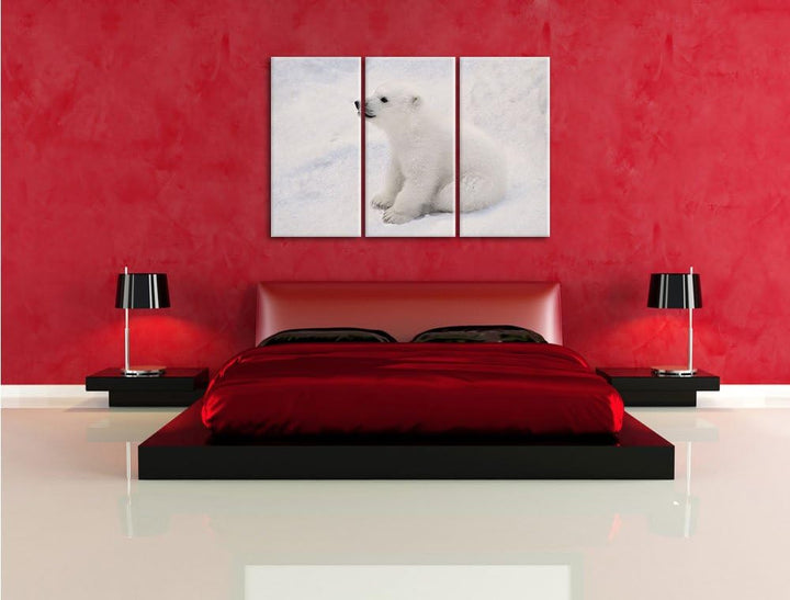 Pixxprint niedliches Eisbär Baby als Leinwandbild - Grösse: 3-Teilig (120x80cm) - Wandbild - Kunstdr