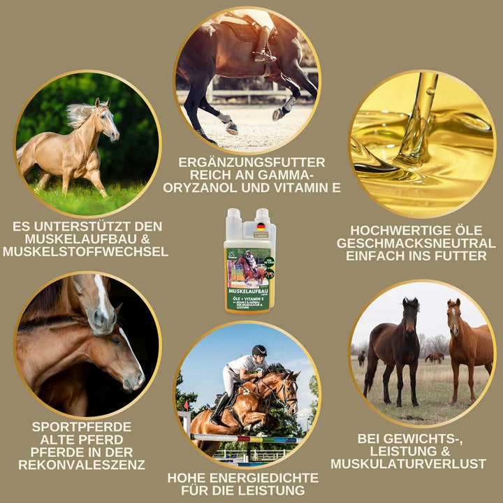 EMMA Reiskeimöl für Pferde + Aminosäuren Pferd I 2 * 1 L 30ml Liquid + Paste Amino Muskel Plus Vitam