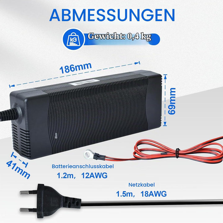 DCHOUSE 12V 100Ah LiFePO4 Batterie mit 10A Batterie Ladegeräte, Verbessertes 100A BMS, Bis zu 15000
