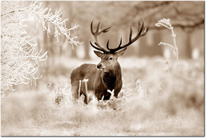 murando - Bilder Hirsch 90x60 cm Vlies Leinwandbild 1 tlg Kunstdruck modern Wandbilder XXL Wanddekor