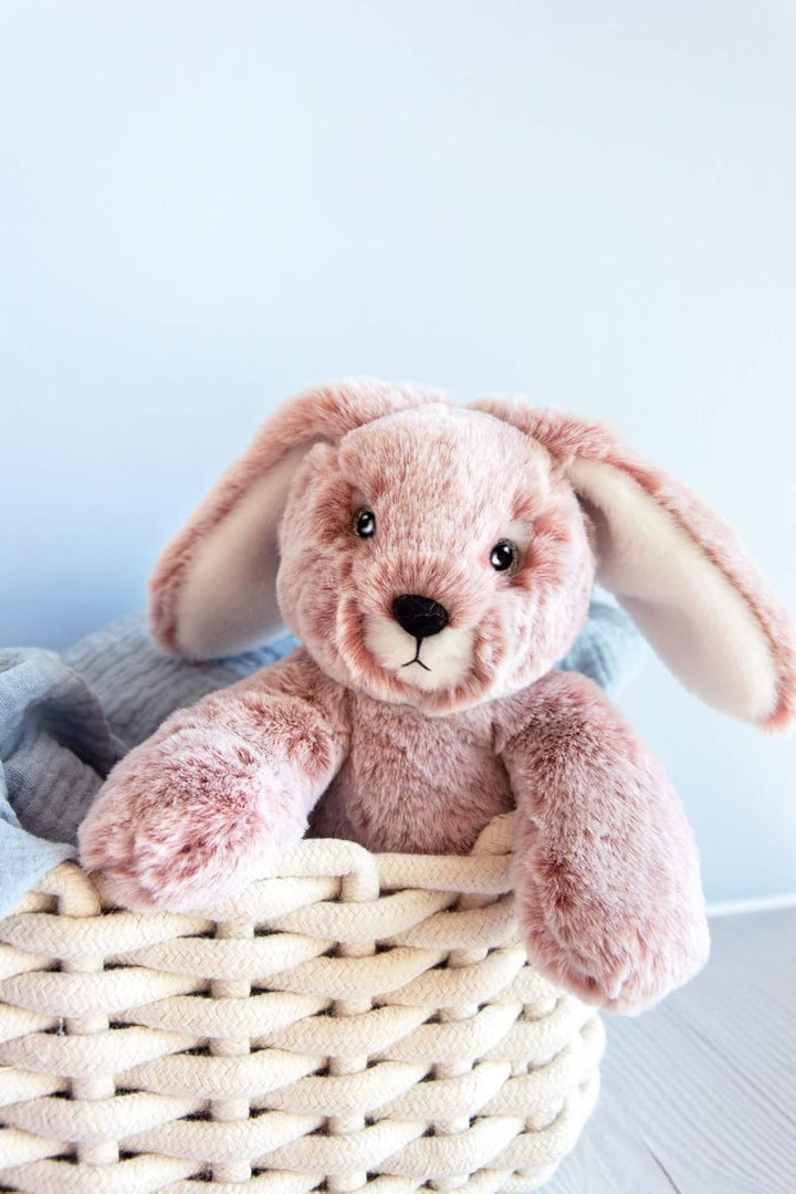 Histoire d'ours Sweety Schaumstoff PM – Hase Petit Hase, Petit Hase