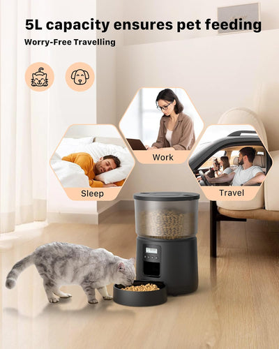 BEMOONY 5L Futterautomat Katze, Katzenfutter Automat mit Programmierbarem Timer, 1-6 Mahlzeiten pro