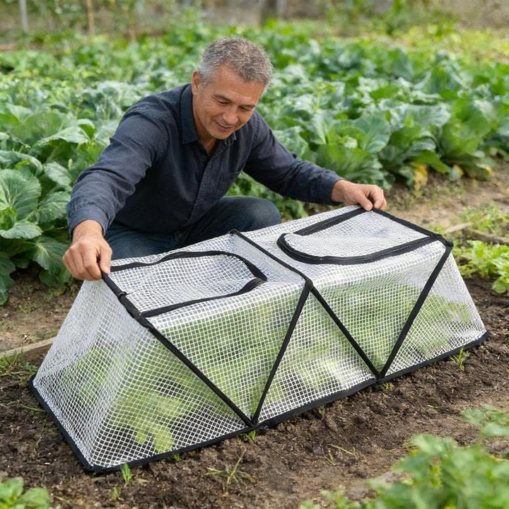Pflanzenschutz Für Gartenpflanzen - Faltbare Winterfrost Schutzkäfige,Gartenhauben Als Pflanzenschüt