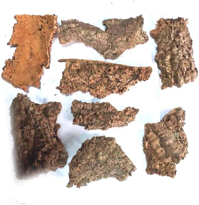 750 GR Zubehör für Krippe Zubehör für Krippe Weihnachtsgeschichte Kork Rinde Vegetation Krippe Dec W
