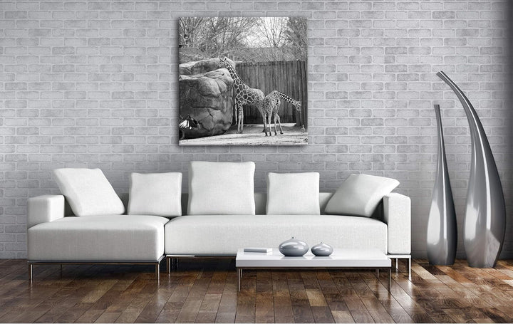 deyoli Zwei Giraffen in Einem Gehege Format: 60x60 Effekt: Schwarz&Weiss als Leinwandbild, Motiv auf
