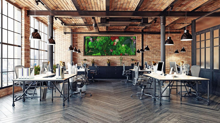 Hello Moss Moosbild - Moos Deko Für Ihr Haus - Bilderrahmen mit Kugelmoos - moderne Mooswand Lebend