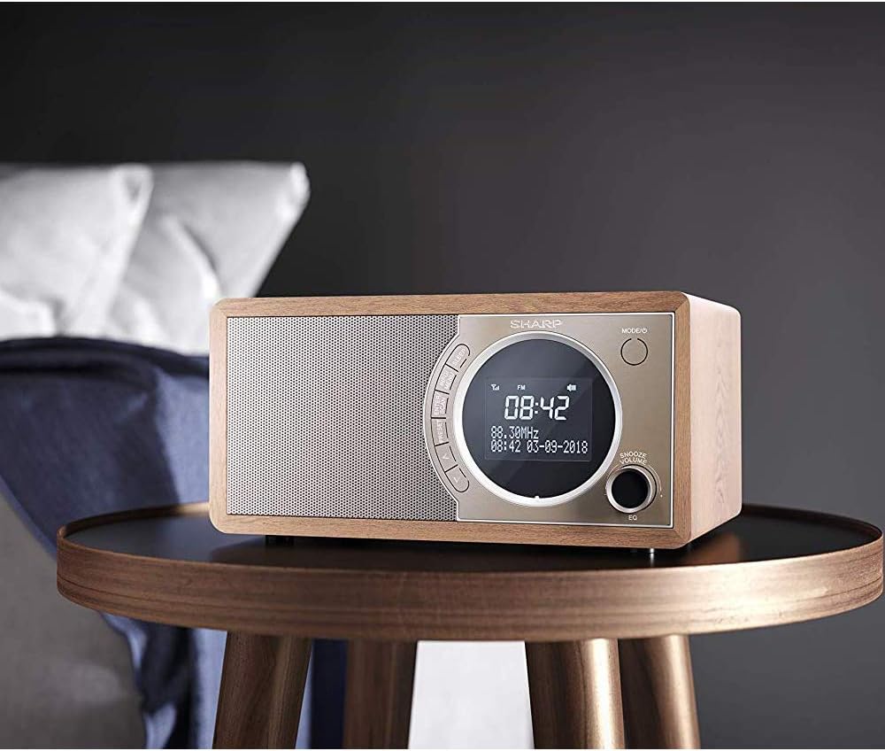 SHARP DR450 Digitalradio (DAB/DAB+/FM mit RDS, Bluetooth, Wecker-Funktionen, 6 Watt), braun Mono Dig