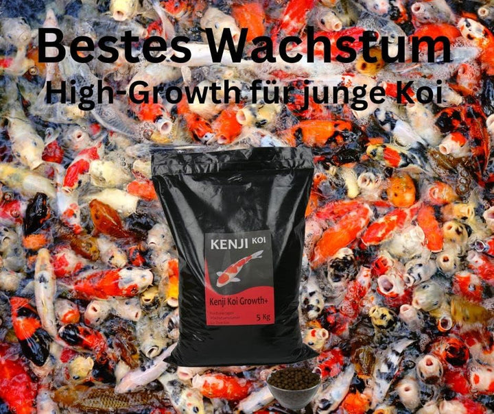 KENJI KOI Growth+ Koifutter 5kg 6mm Wachstumsfutter für den Koi | Schwimmendes Koifutter mit hochwer
