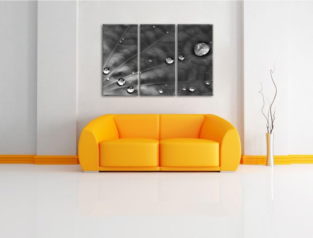 Pixxprint Monocrome, kleine Wassertropfen auf grünem Blatt 3-Teiler Leinwandbild 120x80 Bild auf Lei