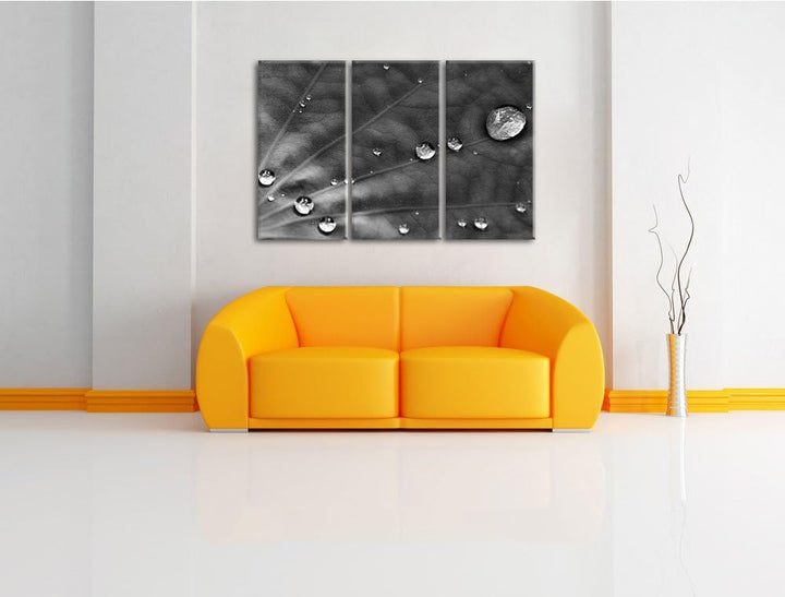 Pixxprint Monocrome, kleine Wassertropfen auf grünem Blatt 3-Teiler Leinwandbild 120x80 Bild auf Lei