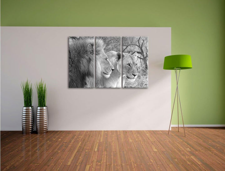 Pixxprint stolzes Löwenpaar Kunst B&W als Leinwandbild | Grösse: 3 Teilig (120x80) | Wandbild| Kunst