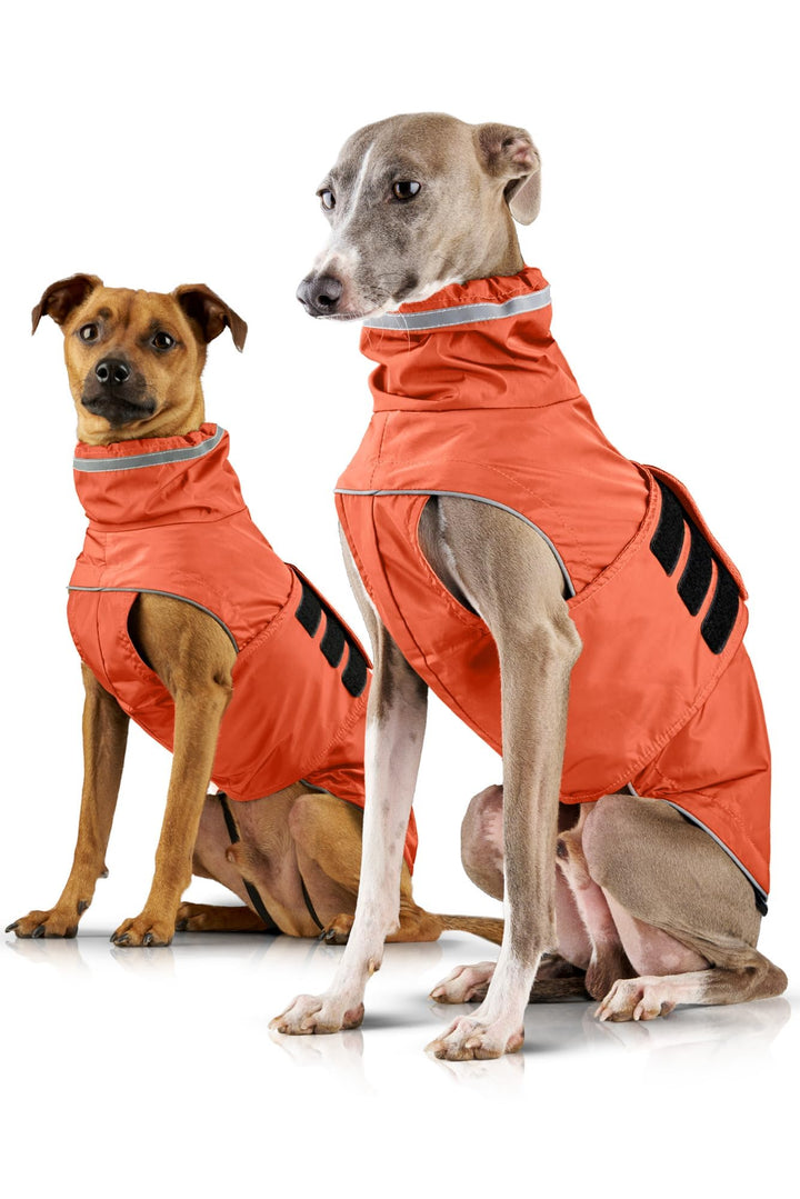 ZAUBERPFOTE® Hunderegenmantel London I Mit extra langem YKK® Reissverschluss für Halsband & Geschirr