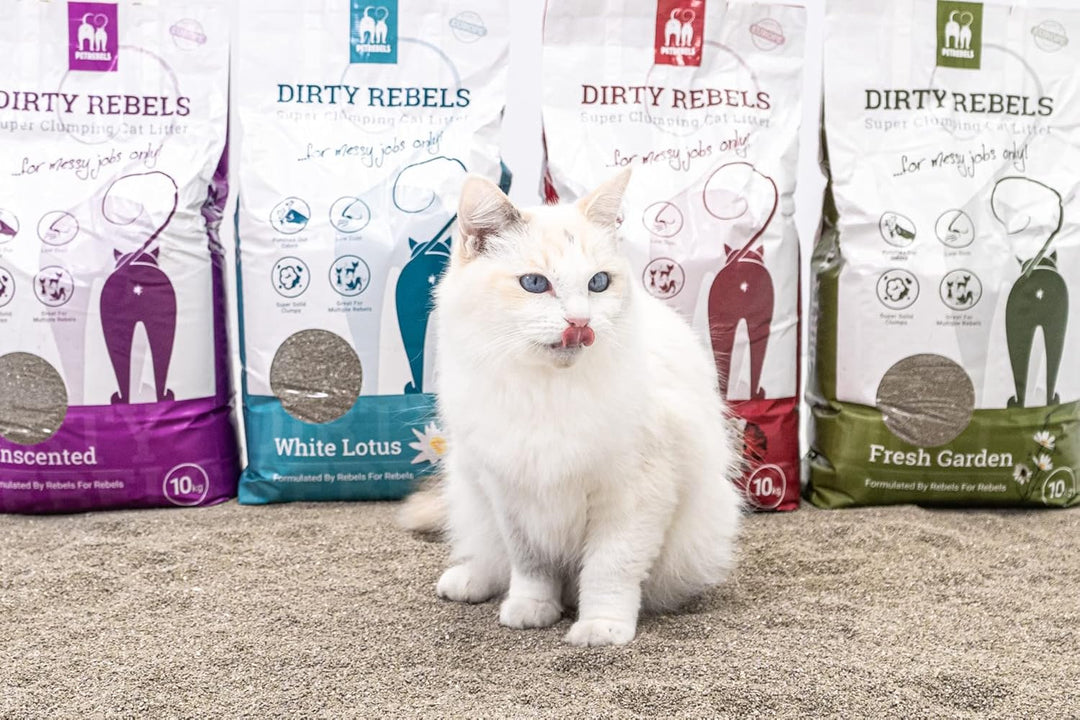 Petrebels Katzenstreu Dirty Rebels, 12x 10 Liter, Babypuderduft, 100% Natürlich, 12er-Pack, Babypude