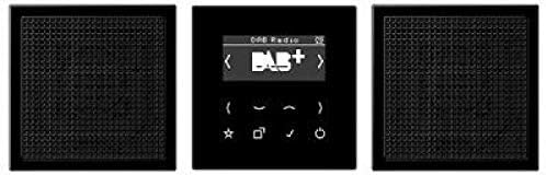 Jung DABLS2SW Smart Radio DAB+ Set Stereo
