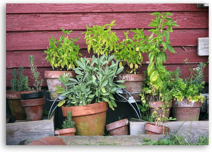 Feeby Dekobild Pflanzen Deko Wand Kunstdruck für Wohnung mehrfarbig 70x50 cm M14331 70x50 cm, M14331