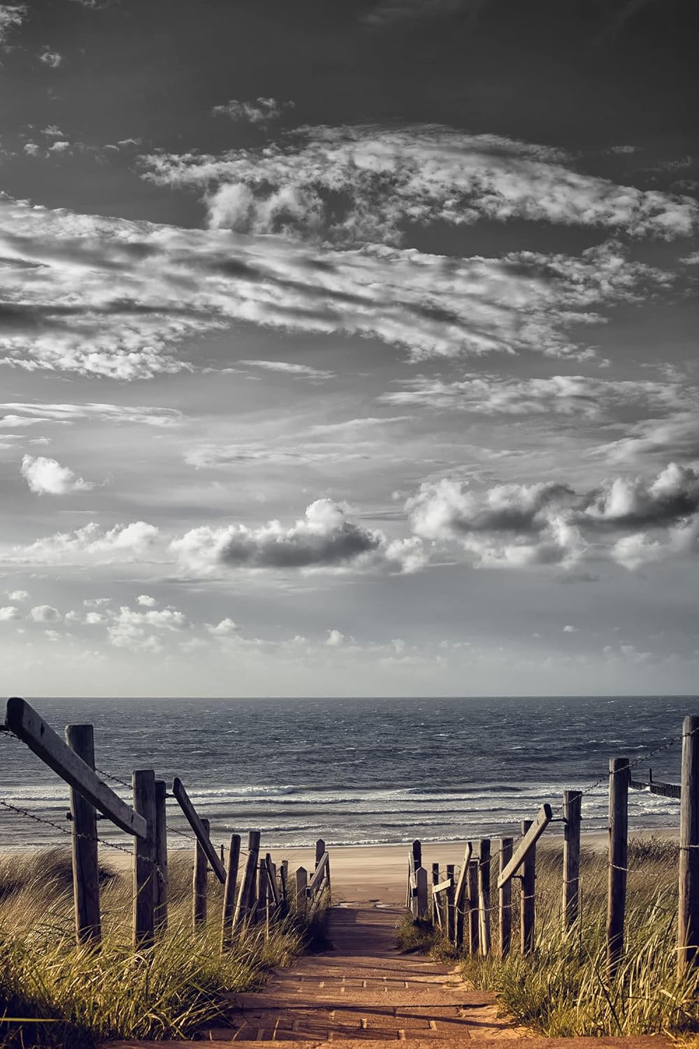 Pixxprint Glasbild | Wandbild aus Echtglas | Weg zum Strand am Meer | 70x100 cm | inkl. Aufhängung u