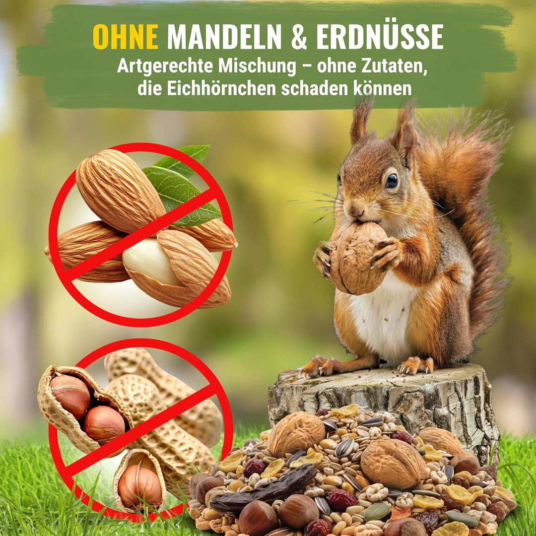 Eichhörnchenfutter 1 kg für Eichhörnchen & Streifenhörnchen I Ganzjahres-Futter Eichhörnchen, Streif