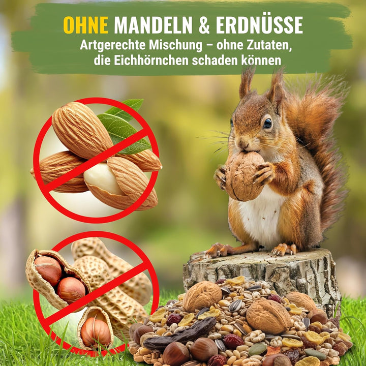 Eichhörnchenfutter 1 kg für Eichhörnchen & Streifenhörnchen I Ganzjahres-Futter Eichhörnchen, Streif