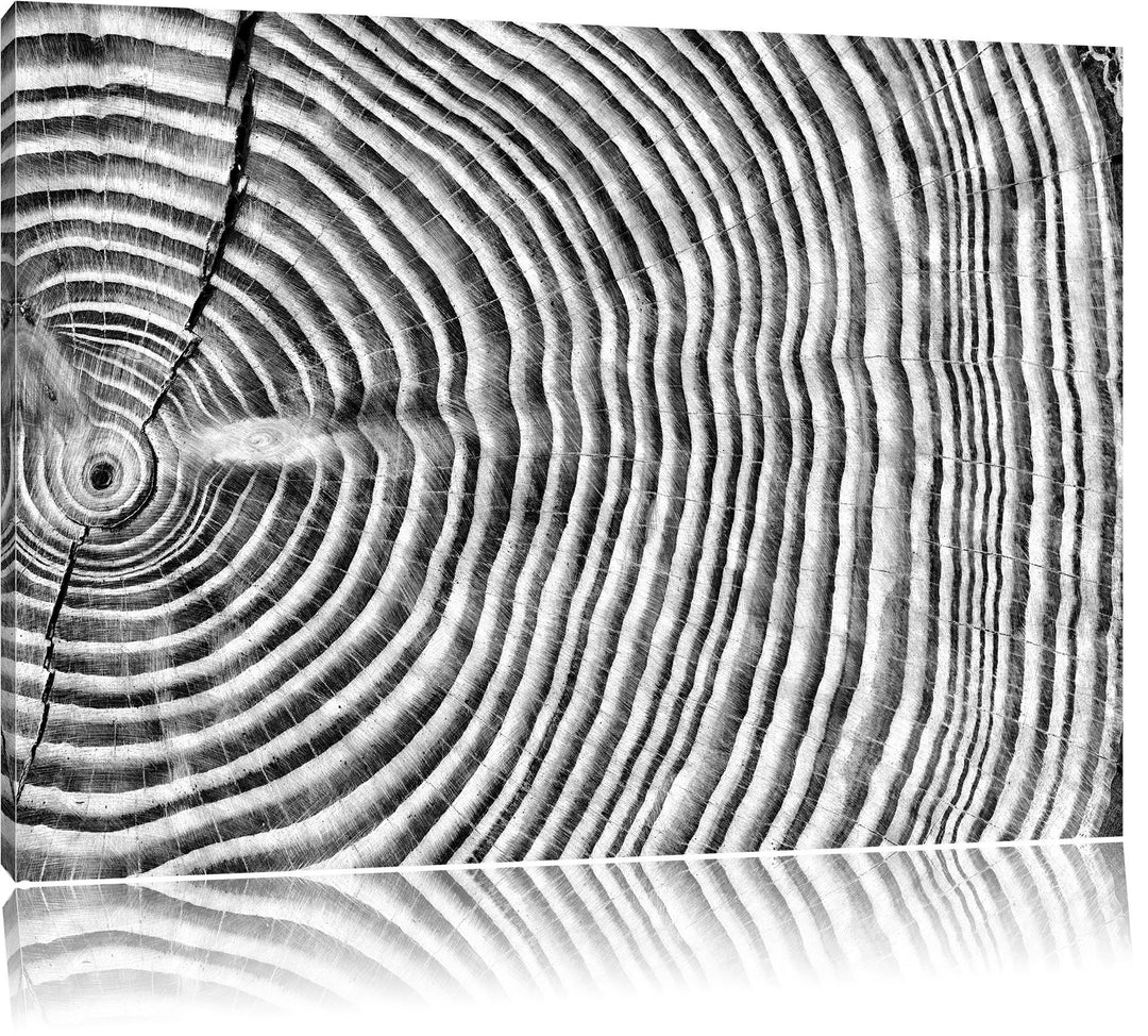 Pixxprint Monocrome, Mächtiger Baumstamm mit Jahresringen, Format: 100x70 auf Leinwand, XXL riesige