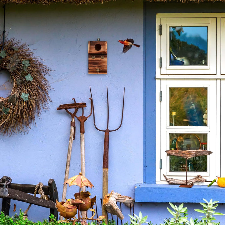 Relaxdays Nistkasten für Kohlmeise &amp; Gartenrotschwanz, mit Reinigungsklappe, Holz, Vogelnistkasten z