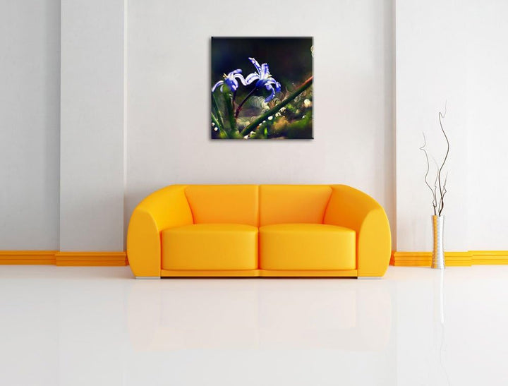 Pixxprint Zarte Lila Wiesenblumen im Morgentau, Format: 70x70 auf Leinwand, 70x70