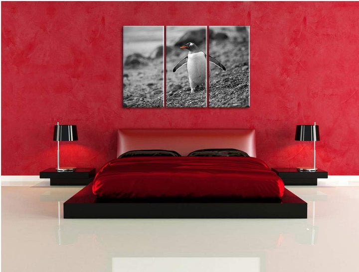 süsser Pinguin am Steinstrand schwarz/weiss 3-Teiler Leinwandbild 120x80 Bild auf Leinwand, XXL ries