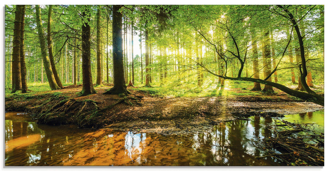 Glasbilder Wandbild Glas Bild einteilig 60x30 cm Querformat Wald Natur Landschaft Bäume Bach Sonne F