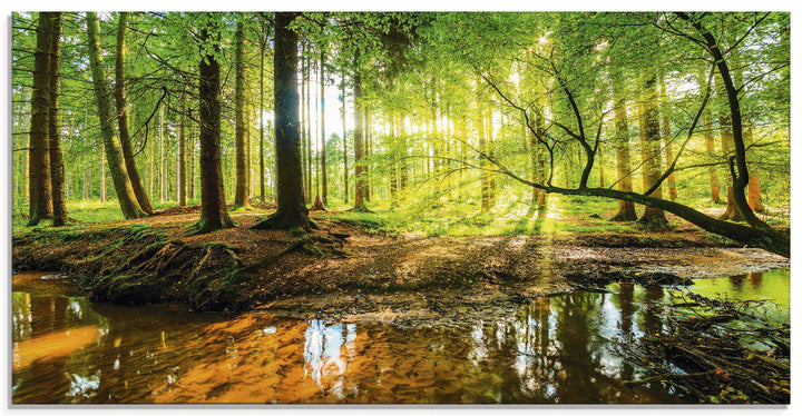 Glasbilder Wandbild Glas Bild einteilig 60x30 cm Querformat Wald Natur Landschaft Bäume Bach Sonne F
