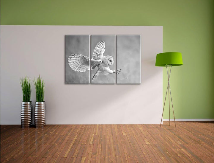Pixxprint Fliegende Eule bei der Jagd als Leinwandbild/Grösse: 3 Teilig (120x80 cm) cm/Wandbild/Kuns